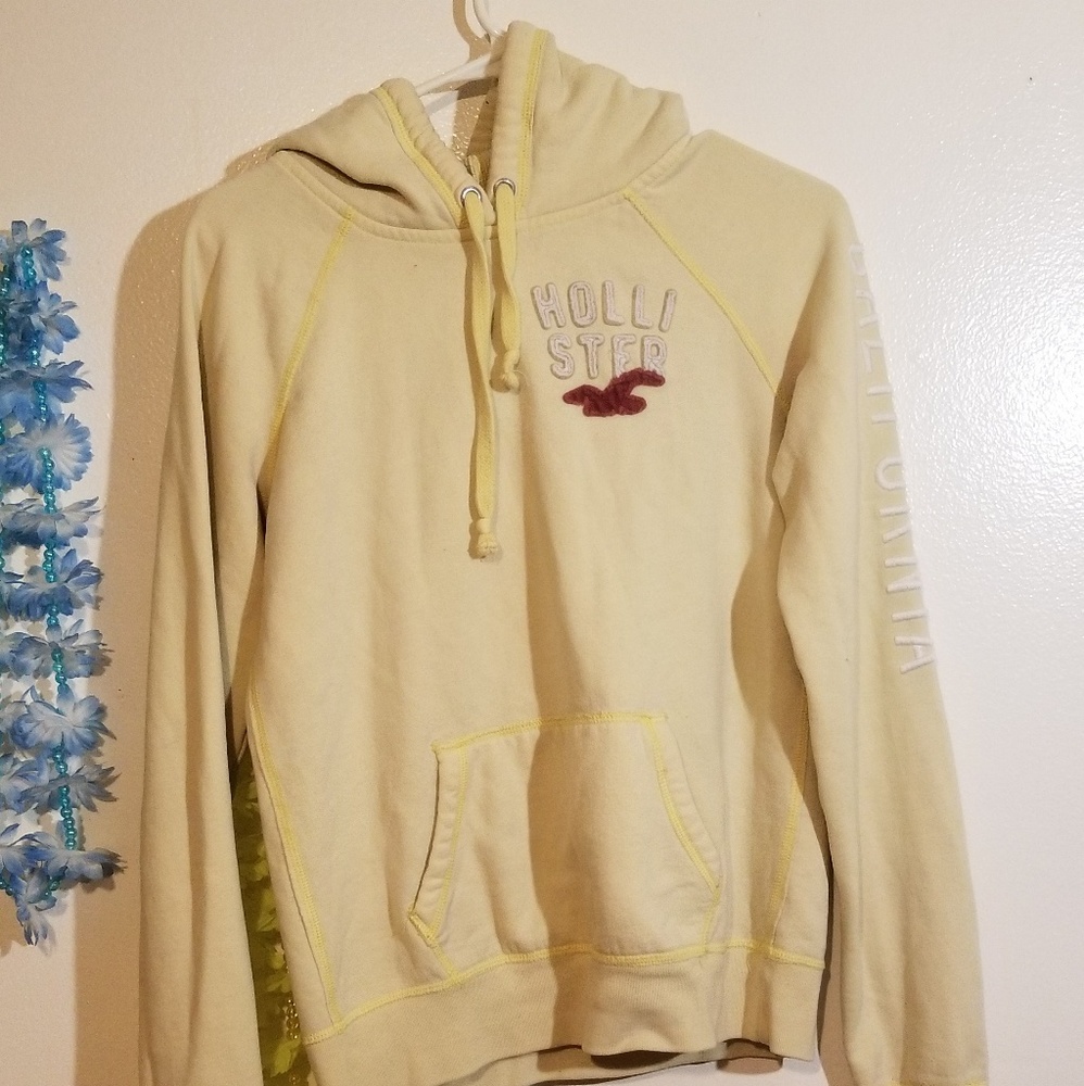 Hollister hoodie